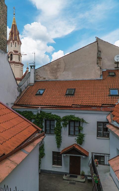 Baron'S Arthouse Apartment Аеропорт Вільнюс Екстер'єр фото